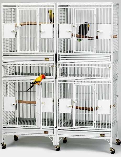 Click to see the Stainless Steel Multi Vista Breeder Cage