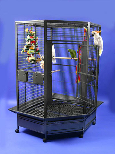 Parrot's Escape Jumbo Parrot Cage